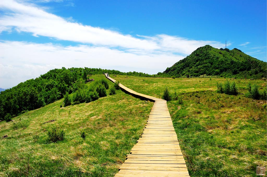 百花山介绍